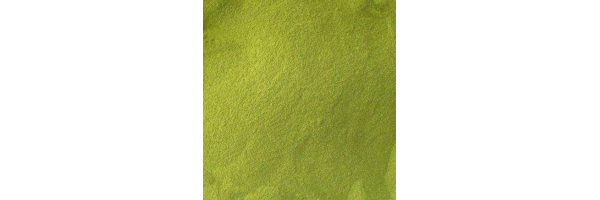 STEVIA BLÄTTER GEMAHLEN | GRÜNES BLATTPULVER | STEVIA SÜSSKRAUT