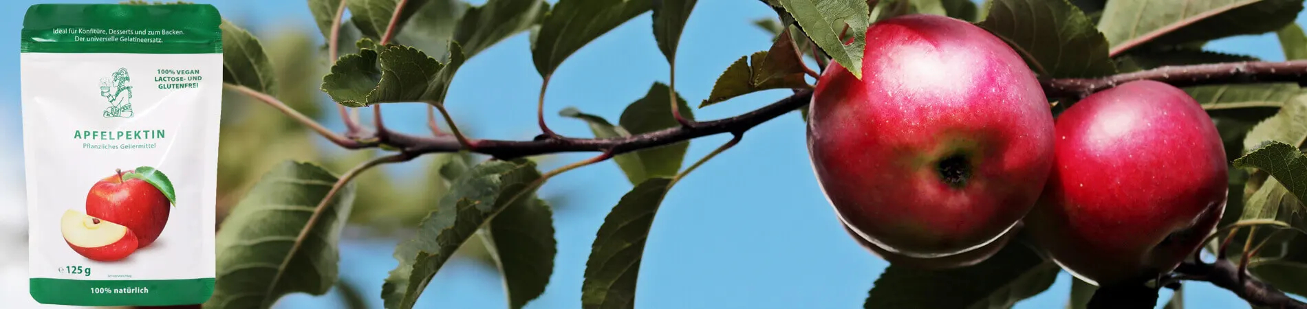 Appelpectine van pure pectine kopen Plantaardig...
