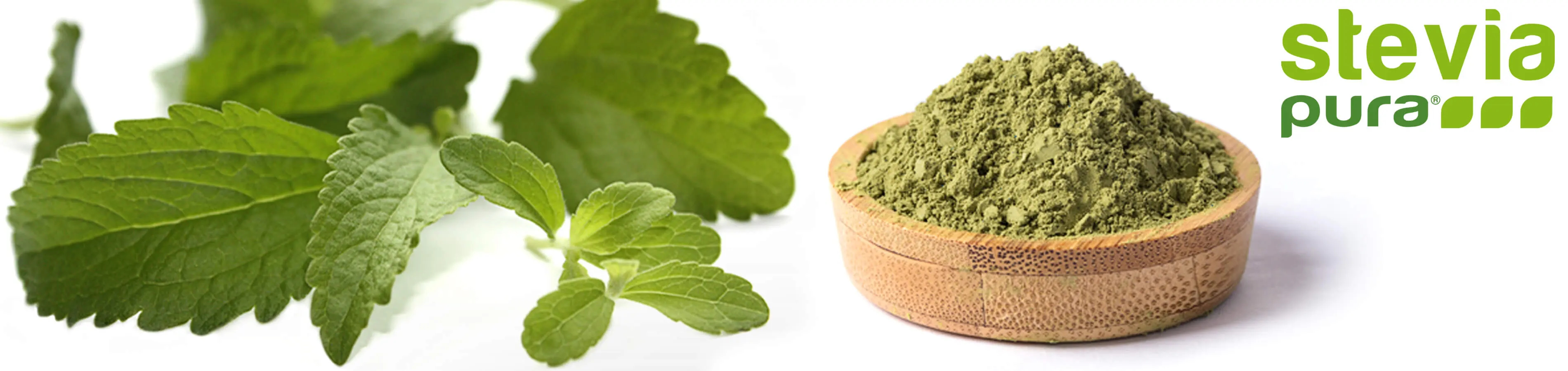 Foglie di Stevia Pura Verde in Polvere | Stevia...