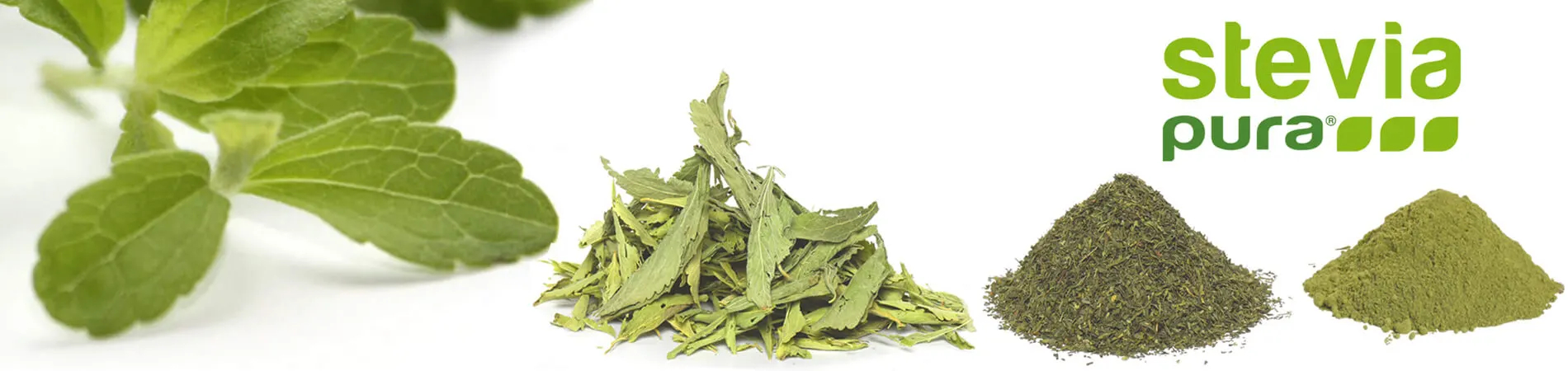 Bio Stevia Blätter kaufen Stevia Blätter gemahlen Stevia...