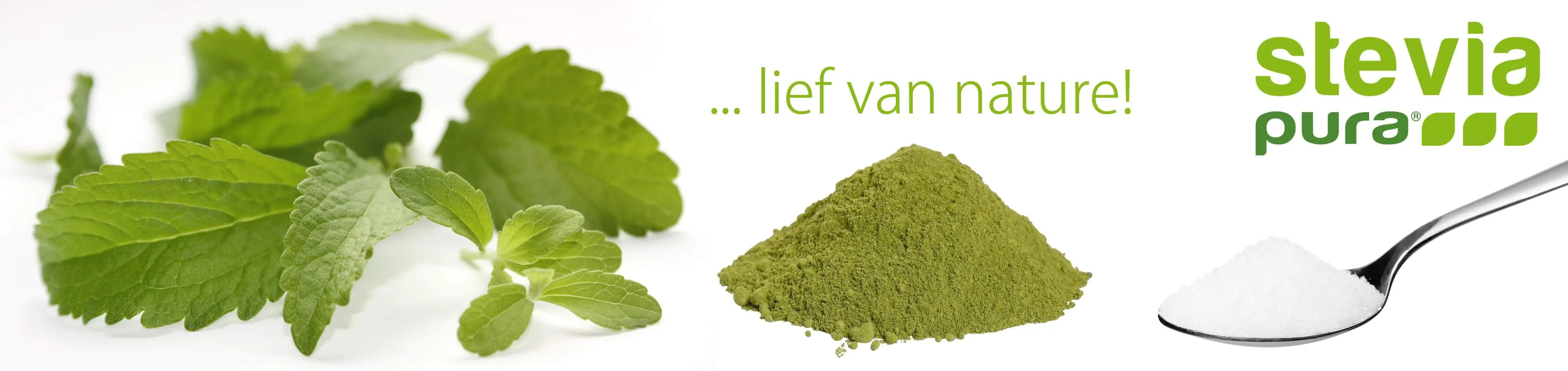 Stevia is een calorievrije, natuurlijke zoetstof en suikervervanger met een intense zoetkracht | steviashop24