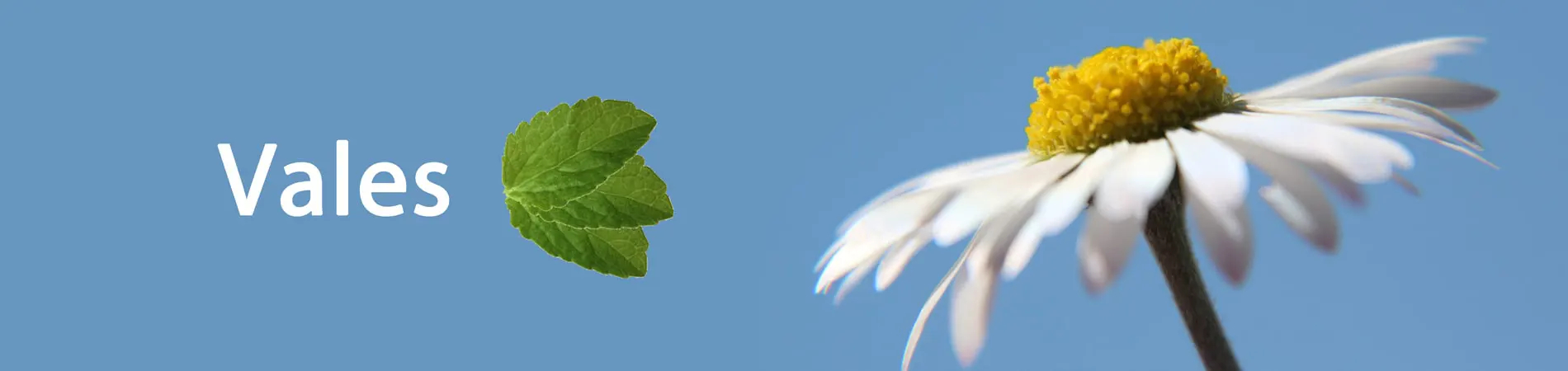 Códigos de descuento Stevia cupones de descuento...