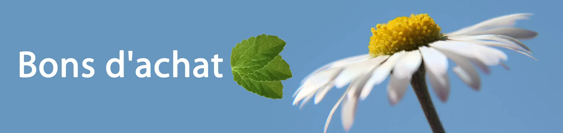 Codes de réduction Stevia bons de réduction steviashop24...