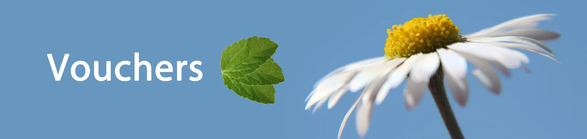 Stevia-kortingscodes steviashop24 kortingsbonnen Stevia...