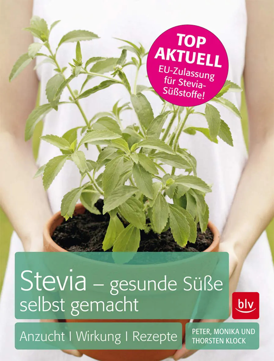 Stevia - gesunde Süße selbst gemacht Anzucht Wirkung Rezepte