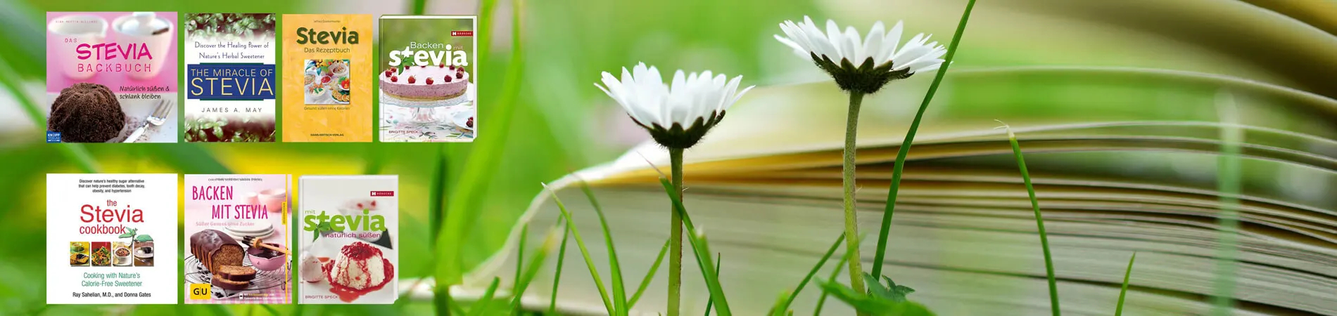 Stevia Bücher Stevia Books Stevia Kochbücher 