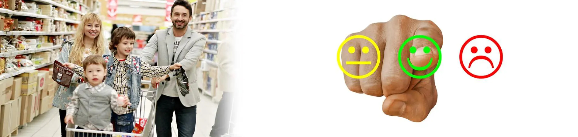 Consejos para la compra de Stevia | Qué debe considerar...