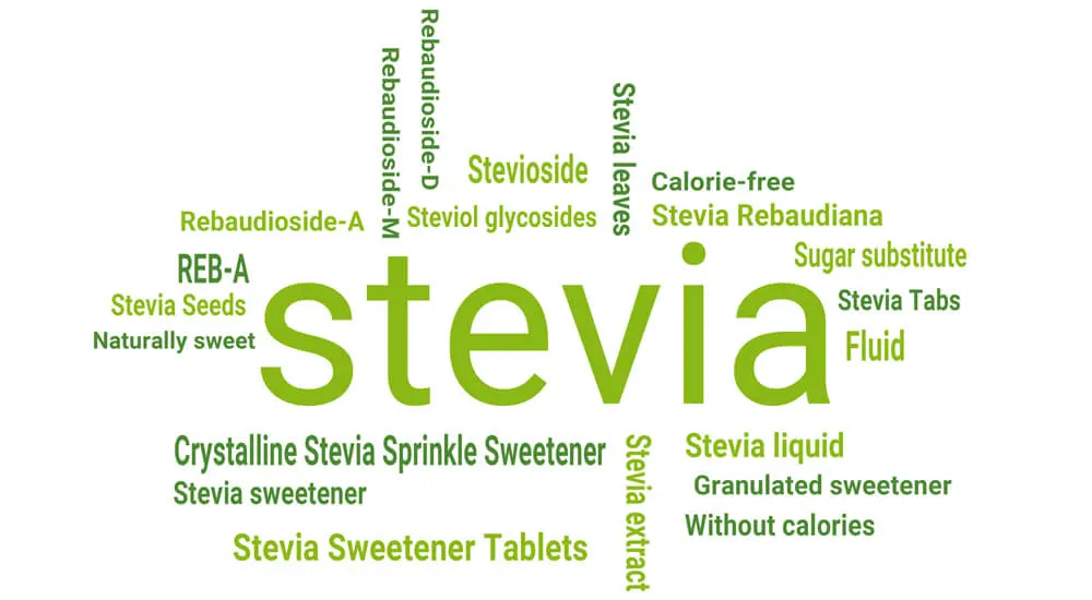 Sweetener Stevia as an Alternative to Sugar
