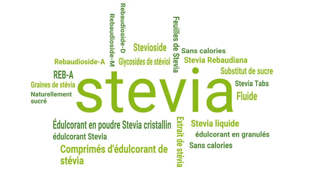 Édulcorant Stevia comme alternative au sucre