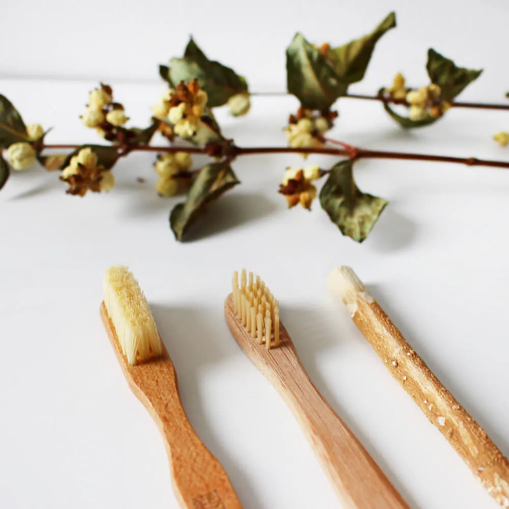 Stevia: A Tooth-Friendly Sweetener