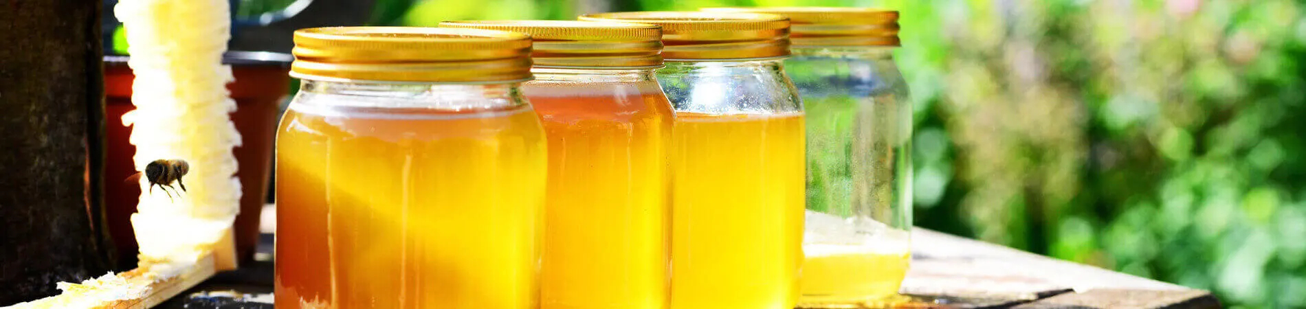 Purchase honey directly from the beekeeper!