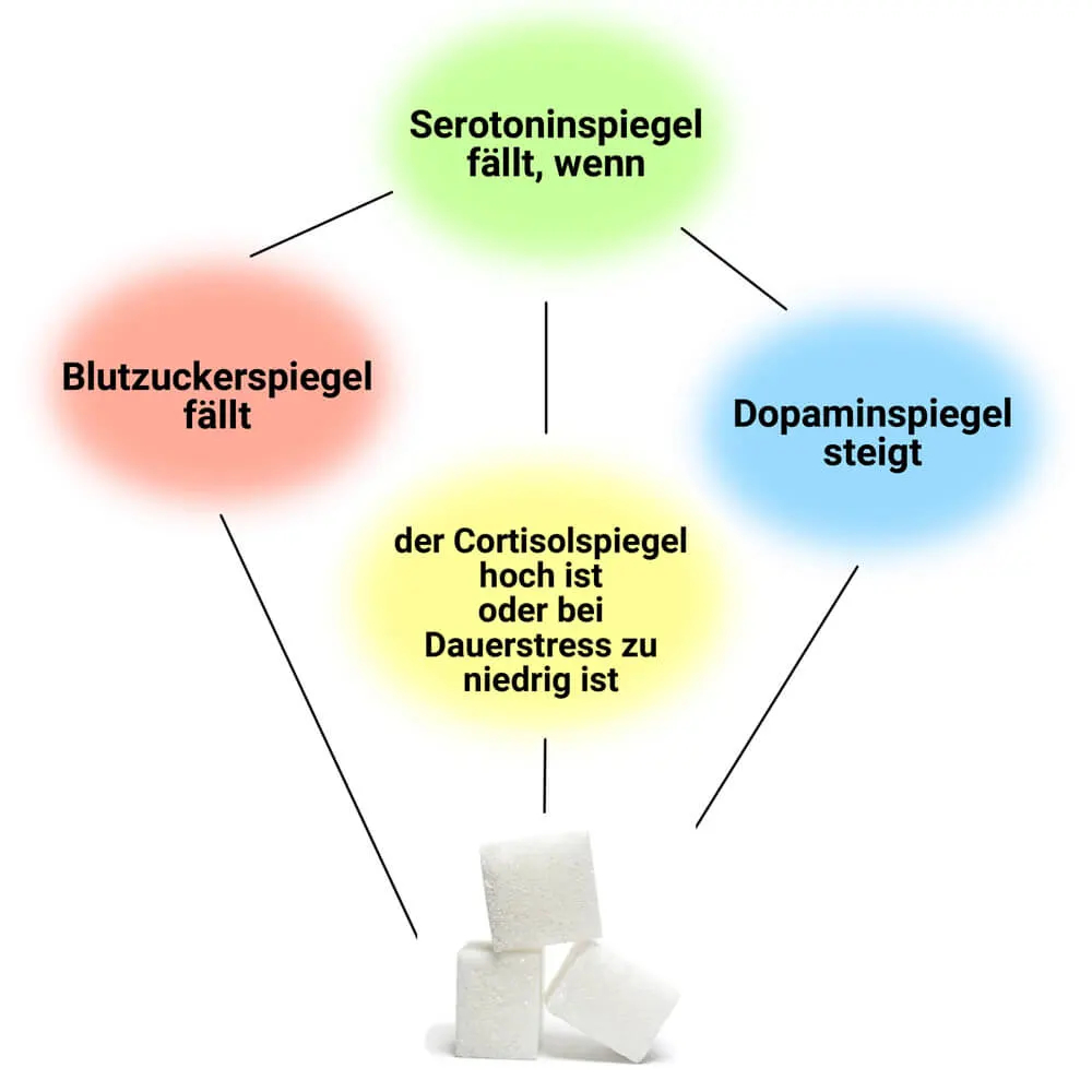 Kontinuierlicher Konsum von Zucker stört die Balance von Neurotransmittern und Gehirnstoffwechsel