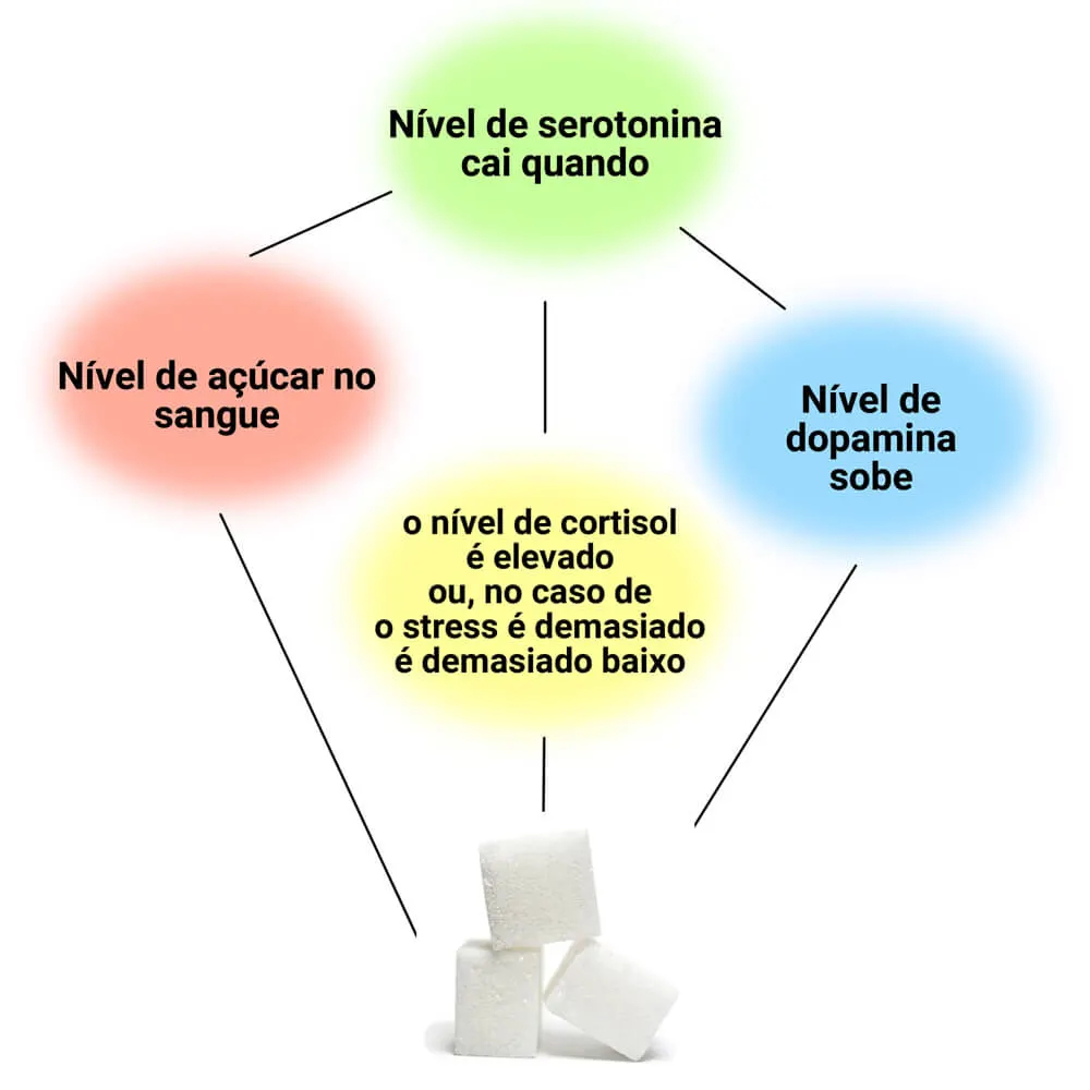 O consumo contínuo de açúcar perturba o equilíbrio dos neurotransmissores e o metabolismo cerebral  