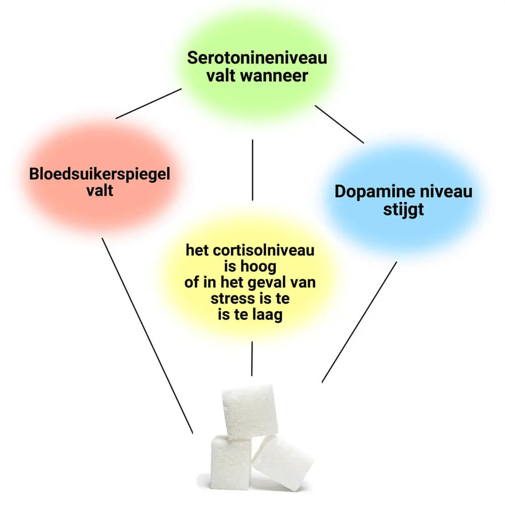 Voortdurende consumptie van suiker verstoort de balans van neurotransmitters en het hersenmetabolisme