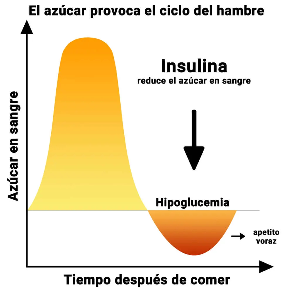 El azúcar crea un ciclo de hambre. Metabolismo del hambre y su efecto sobre el cuerpo.