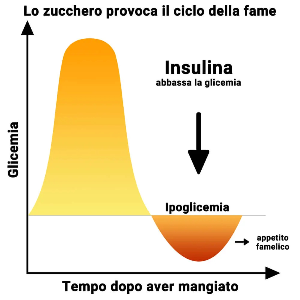 Lo zucchero causa un ciclo della fame. Gli effetti sull'organismo e il metabolismo della fame.