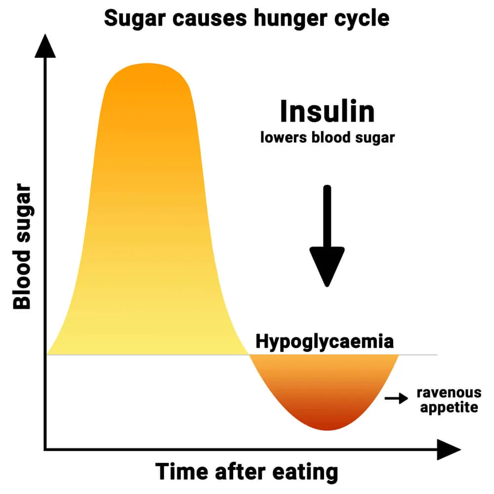 Sugar induces a cycle of hunger, impacting hunger metabolism and overall body function.