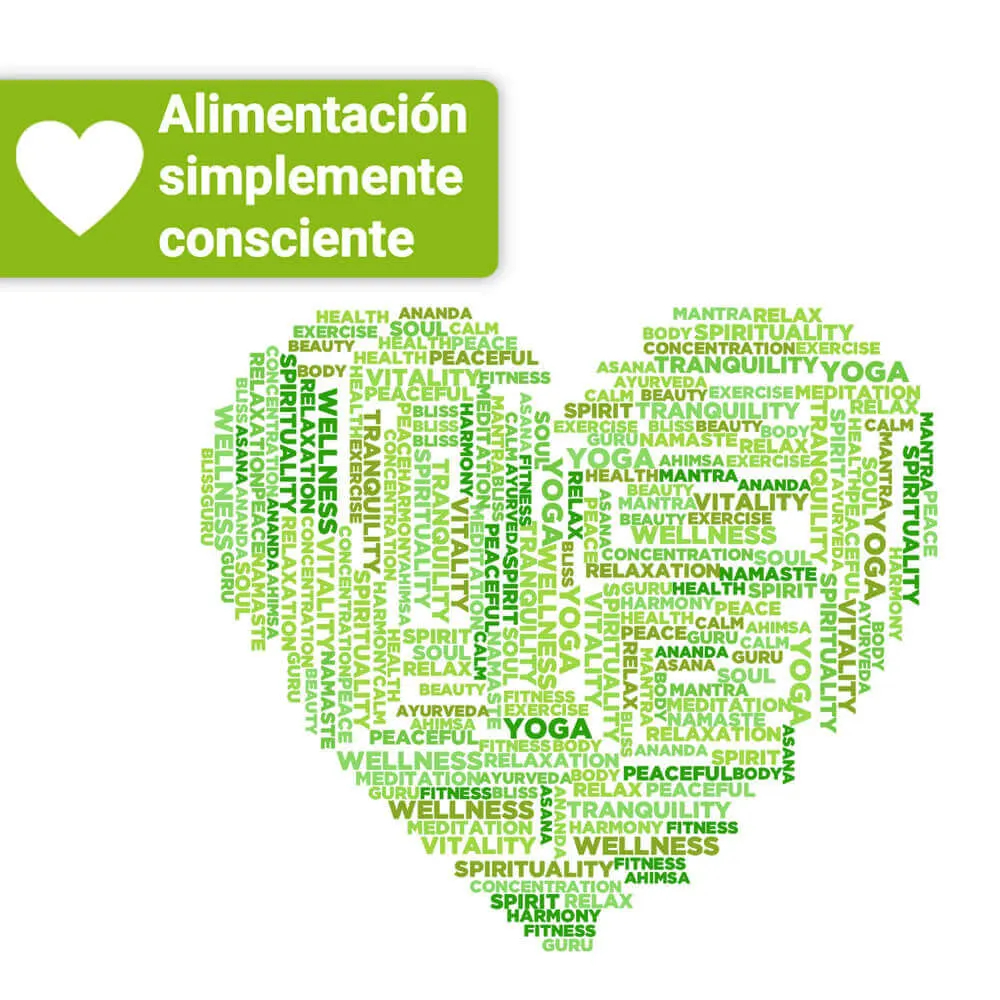 Stevia: ¿es verdaderamente saludable este sustituto del azúcar? Preguntas y Respuestas 