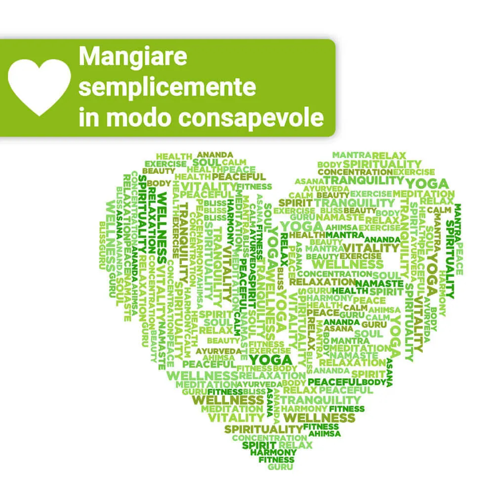 Stevia: quanto è davvero salutare il sostituto dello zucchero? Domande e risposte