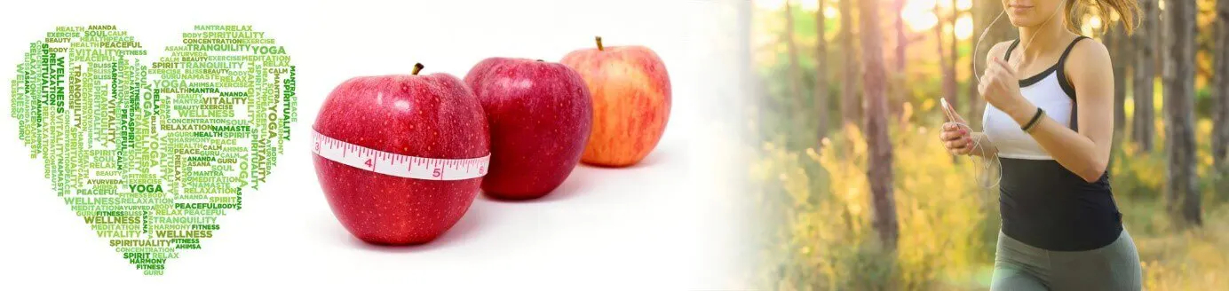 Tipps für den Einkauf von Stevia - Schlank dank Stevia? Fragen und Antworten