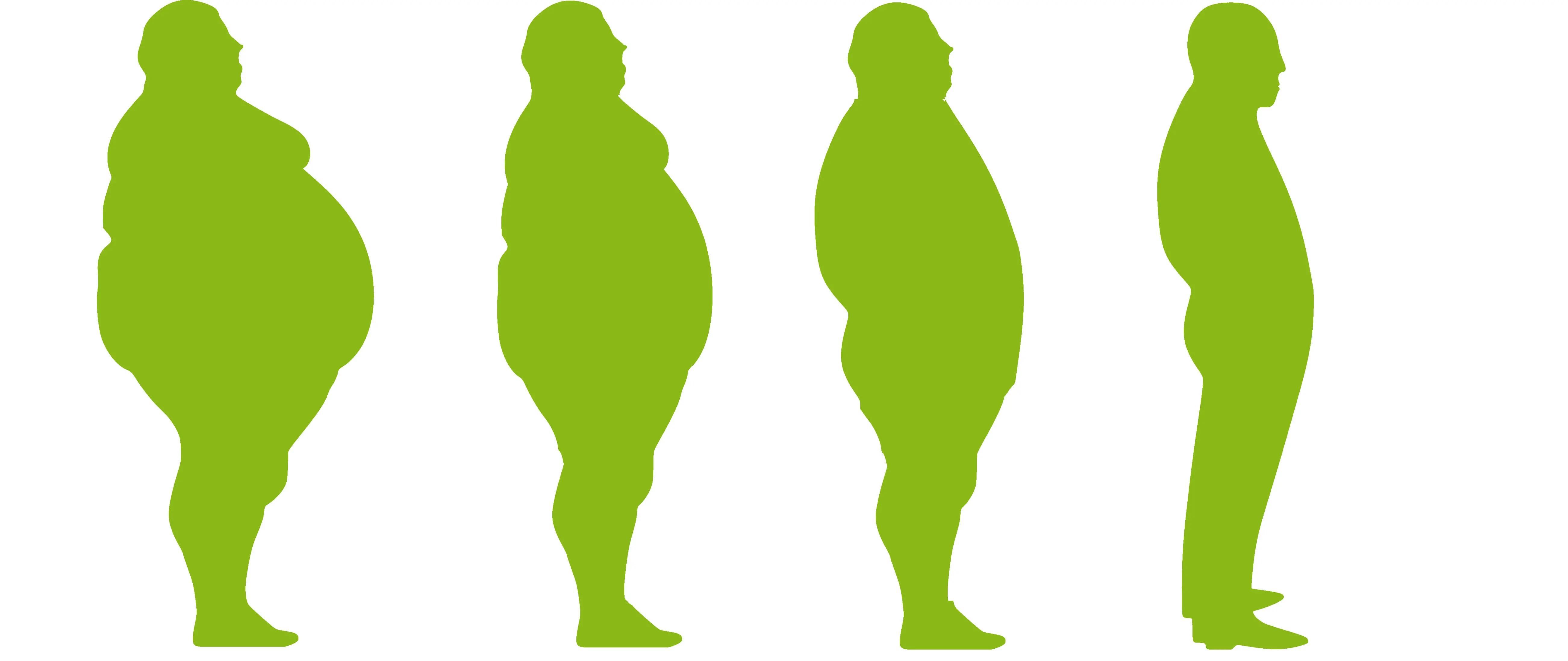 Tips for purchasing Stevia - Can Stevia help you slim down? FAQs