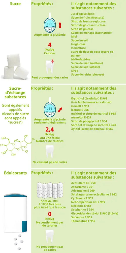Succédanés de sucre : un aperçu et utilisations possibles.