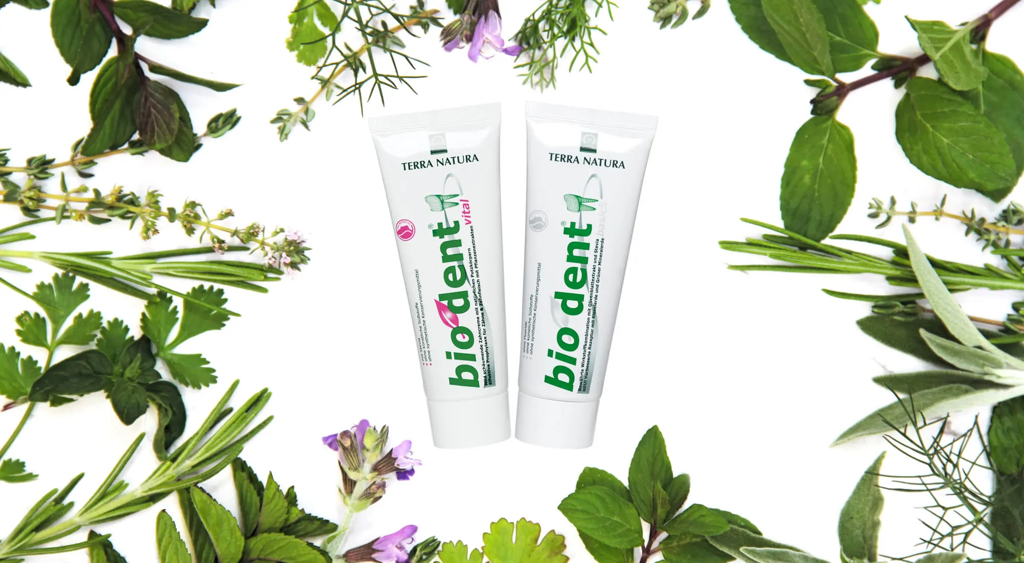 Tandpasta zonder fluoride van Biodent Terranatura met plantenextracten