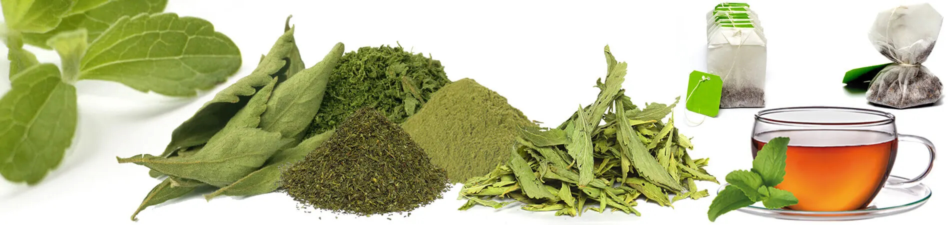 Uso delle foglie di Stevia e consigli - Il dolcificante...