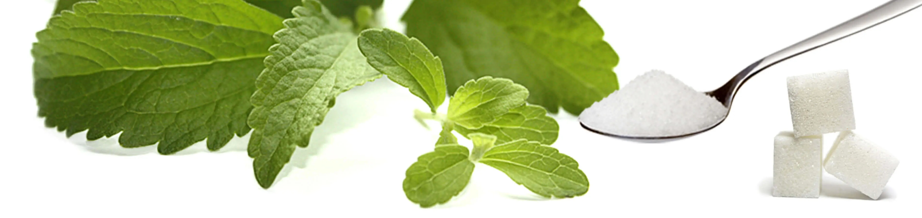 Which sweeteners are preferable for diabetics? Sugar...