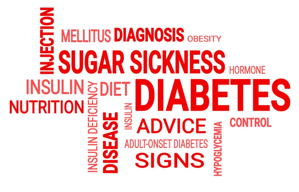 For over 50 years, the German Diabetes Center has been researching diabetes mellitus.