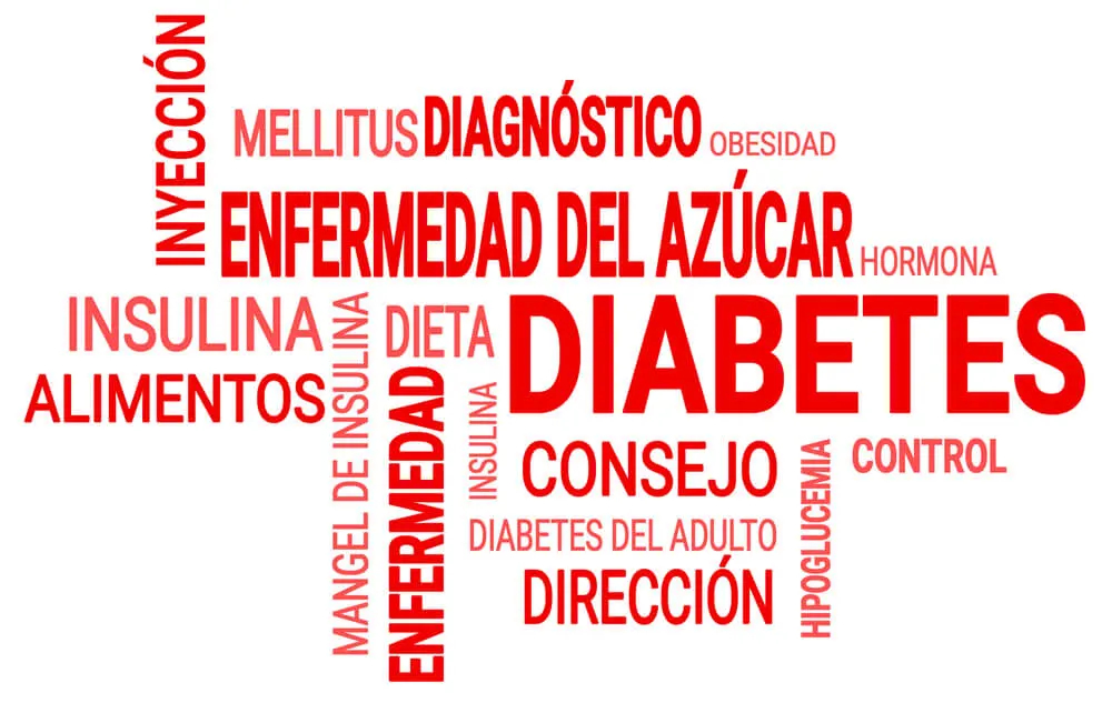 El Centro Alemán de Diabetes ha estado investigando la diabetes mellitus por más de 50 años.