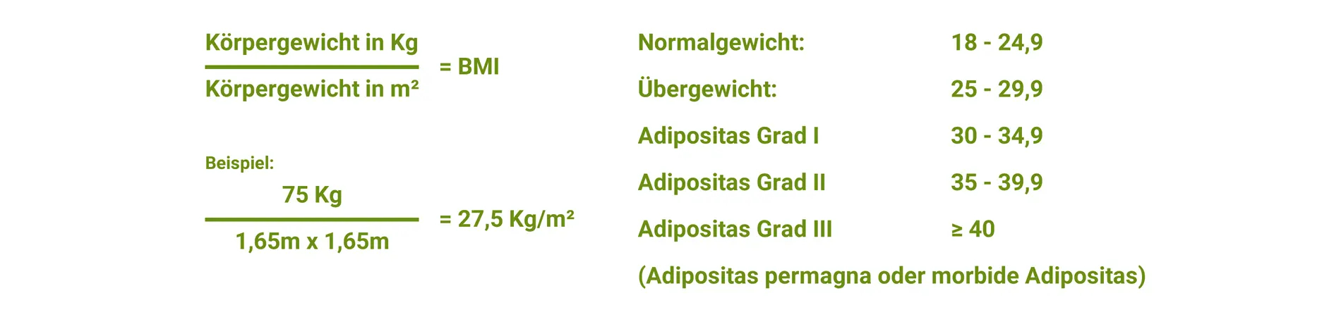 Mit einem Online-Rechner lässt sich der Body-Mass-Index (BMI) bestimmen, um Adipositas, Übergewicht und Fettleibigkeit zu beurteilen.