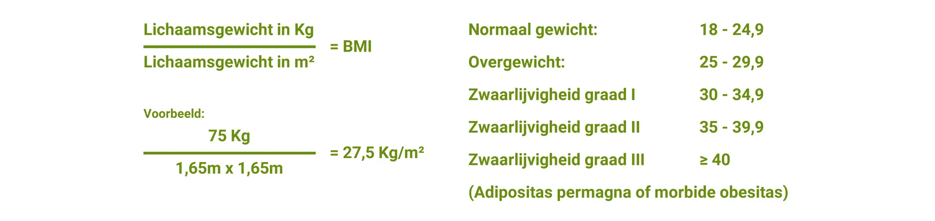 Body Mass Index (BMI) rekenmachine online: obesitas, overgewicht en BMI
