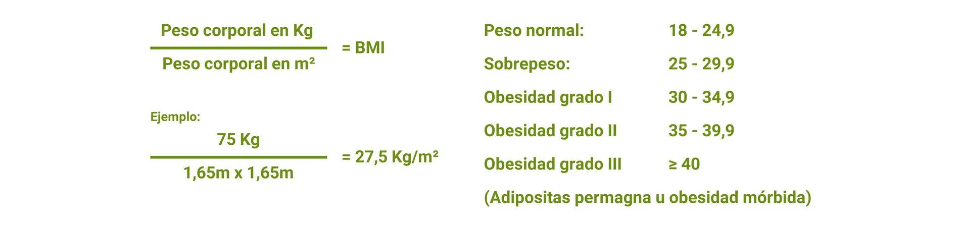 Calculadora en línea del Índice de Masa Corporal (IMC): obesidad y sobrepeso