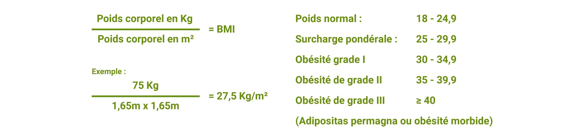 Calculateur en ligne d'indice de masse corporelle (IMC) : Surpoids et obésité
