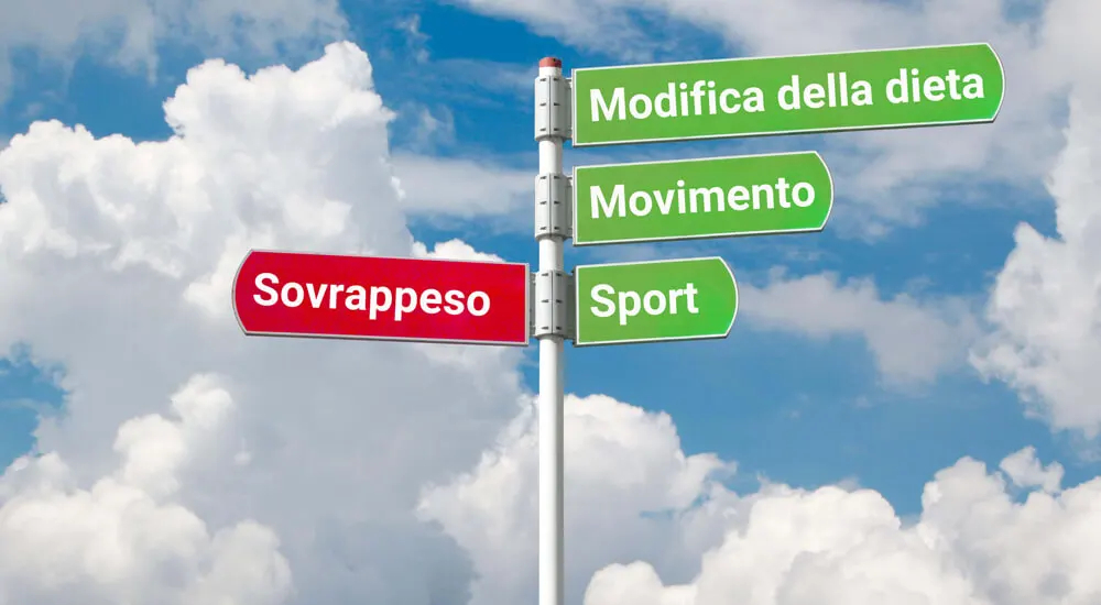 Contromisure contro l'obesità