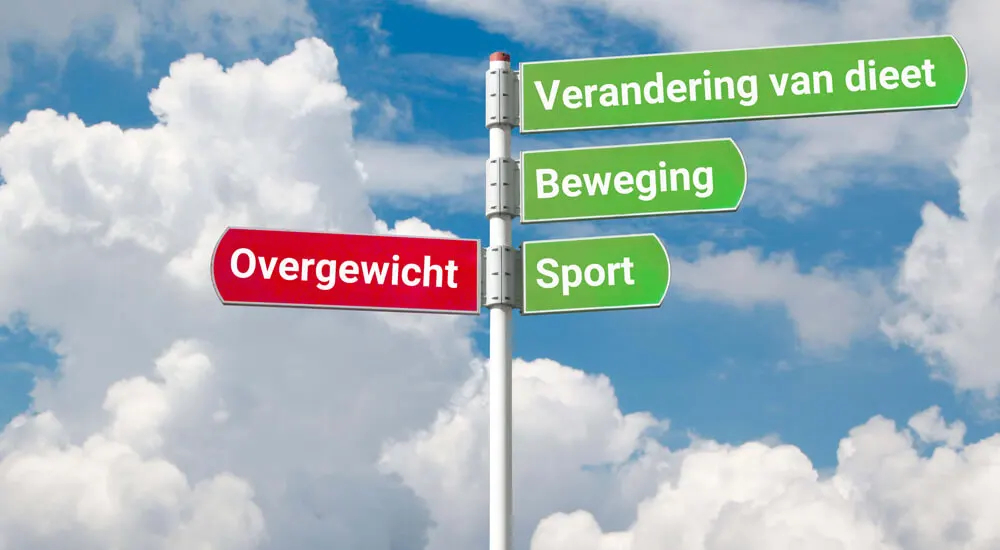 Zwaarlijvigheid - wat zijn mogelijke oplossingen?