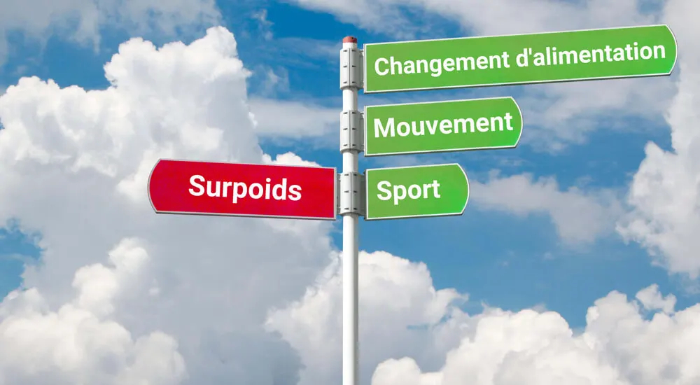 Quelles mesures peuvent être prises pour combattre l'obésité ?