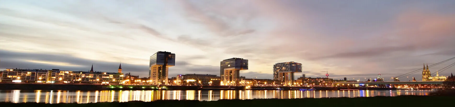 Premium Quality in Sweeteners and Stevia Products from...