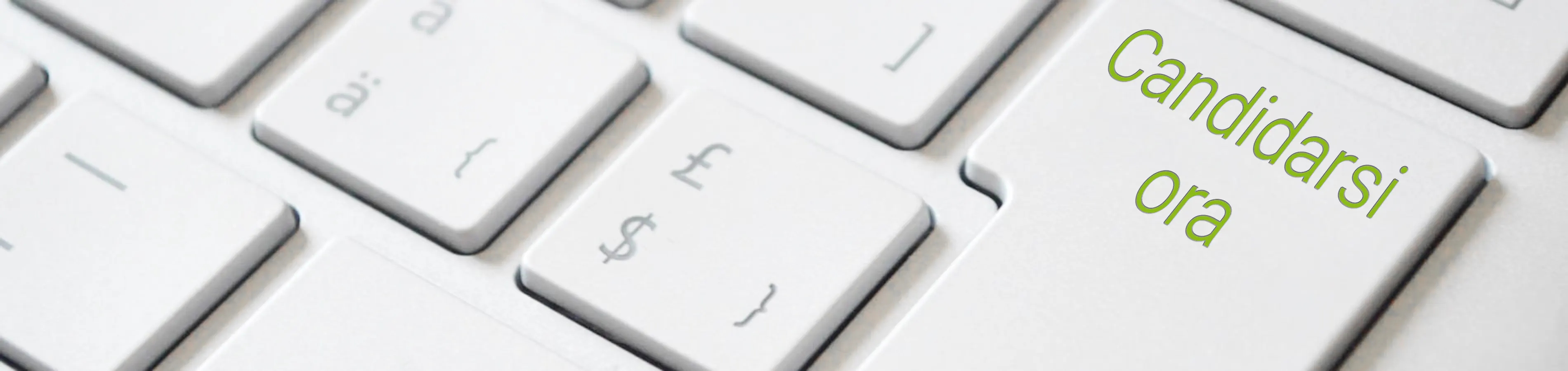 Offerte di lavoro Stevia Group a Colonia: posizioni per...