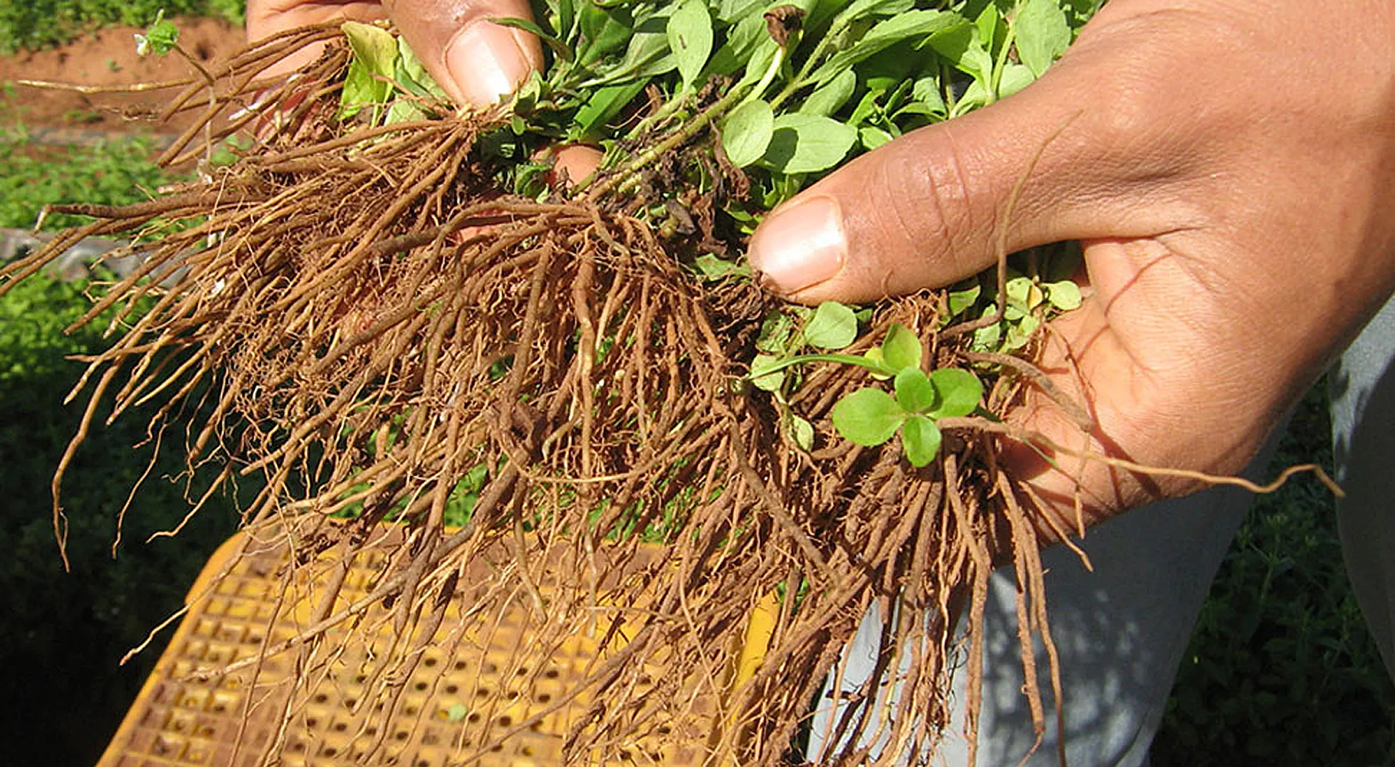 Para um bom produto, qualidade e segurança são critérios indispensáveis.