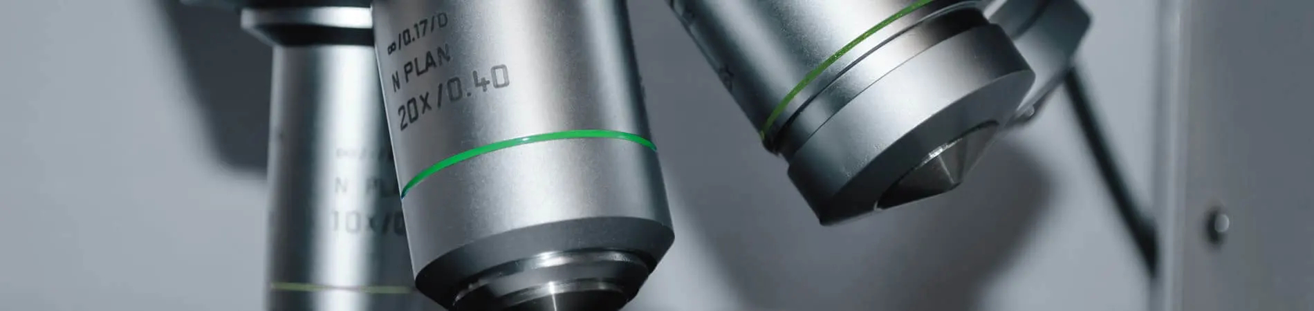 Bei der Stevia Group haben unsere Produkte höchste...