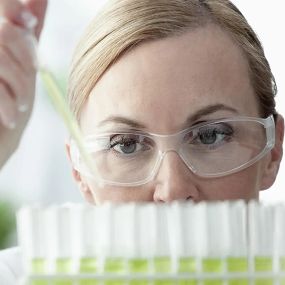 Na Stevia Group, a qualidade dos nossos produtos tem a maior prioridade.