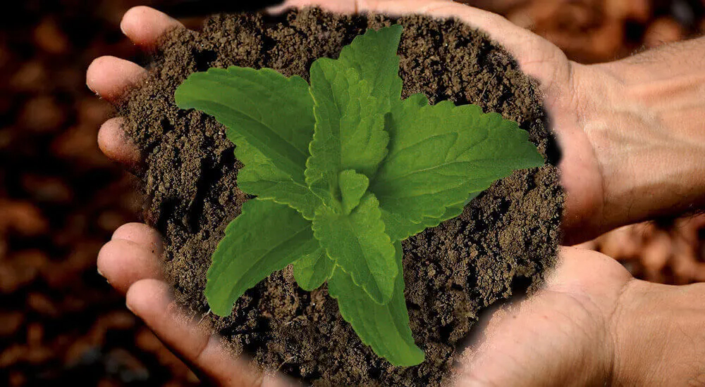 Notre but identifié est d'agir pour le bien-être de l'homme et de la nature.