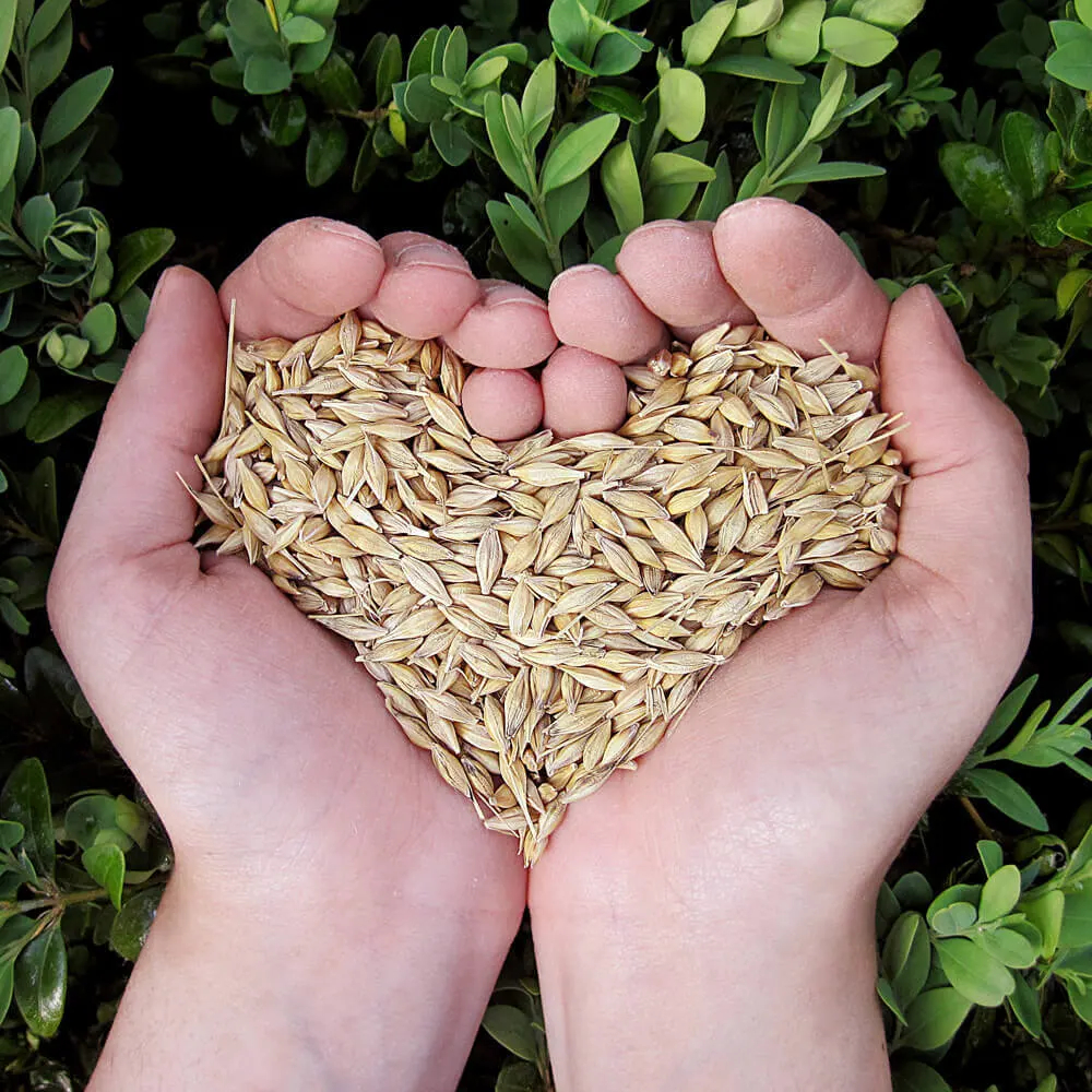 Uso sostenibile delle risorse agricole. 