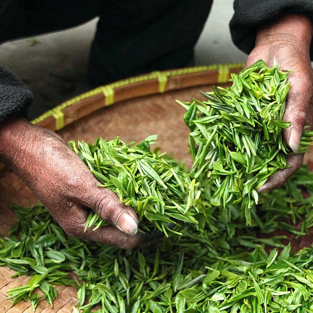 Purchasing decisions now increasingly consider Sustainability.