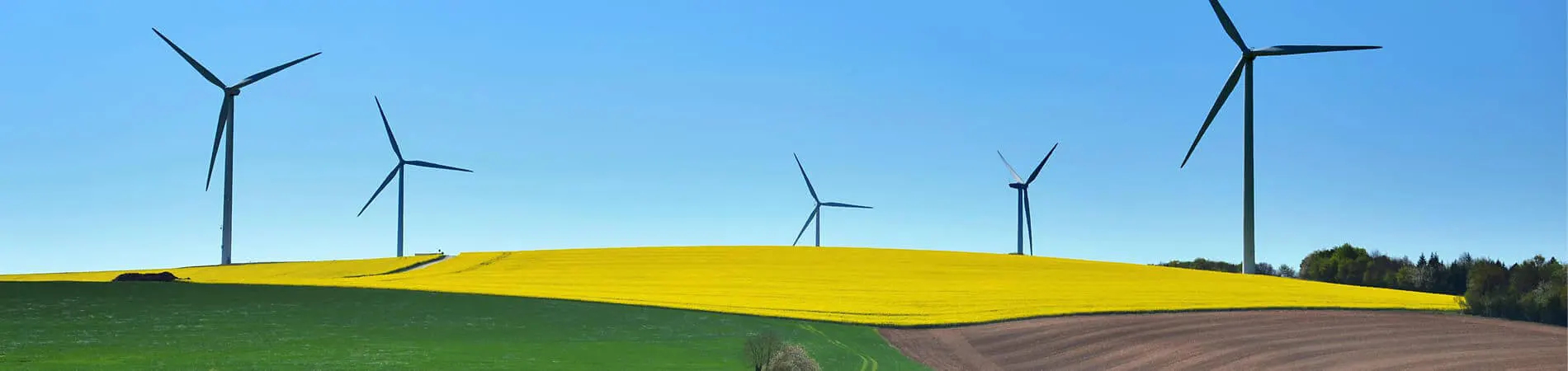 Sustainability at the STEVIA GROUP embodies...