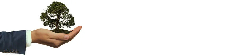 Stevia Group : responsable envers nos clients, notre environnement, nos enfants et la société.