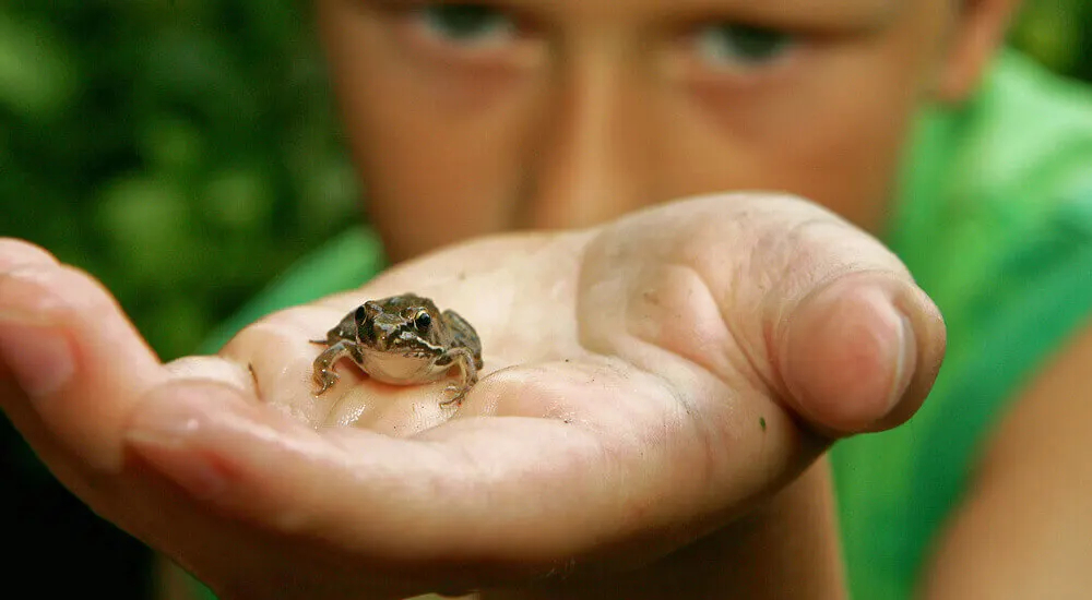 Proteger a todos los seres vivos es una responsabilidad social y comunitaria.