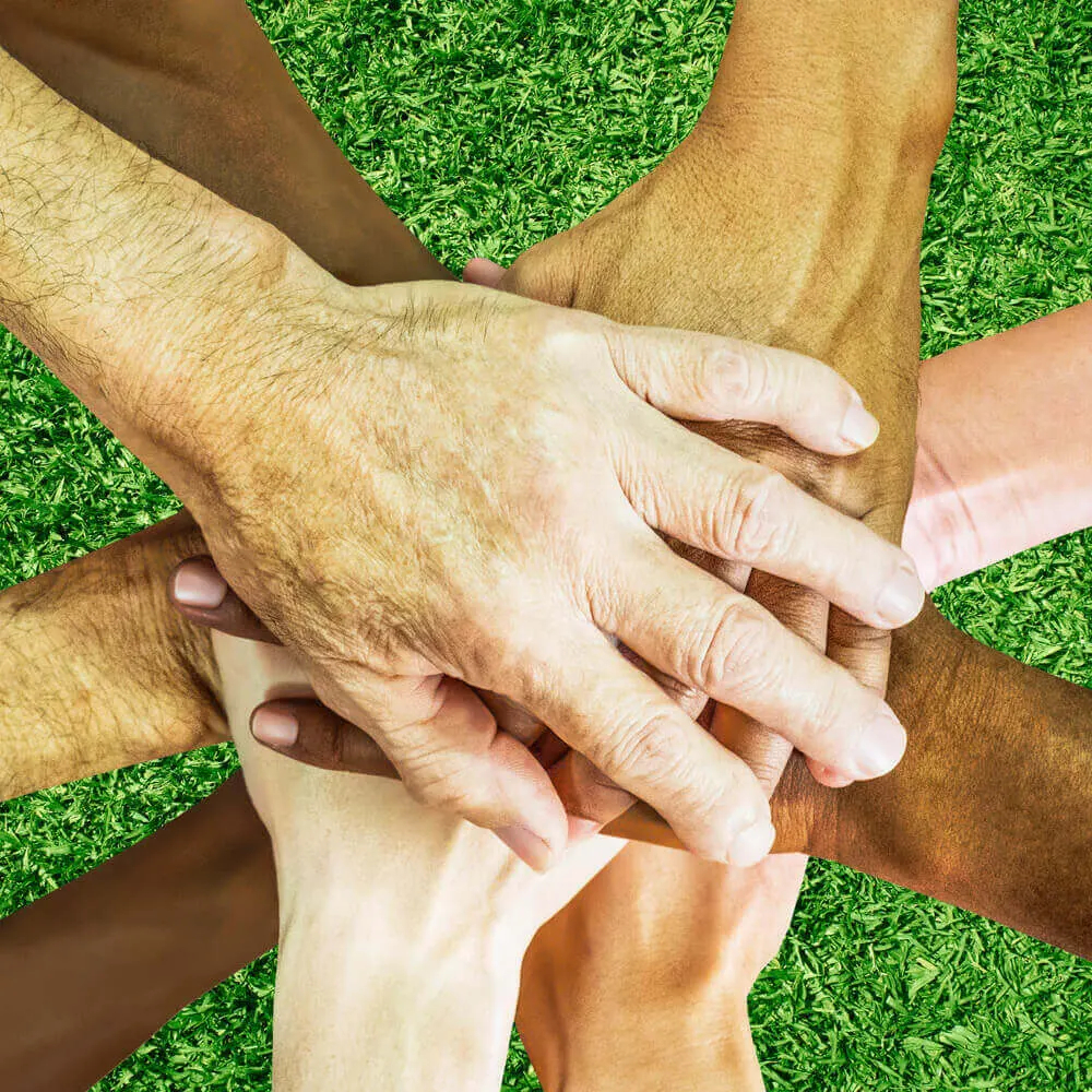 Responsabilidade social e societária